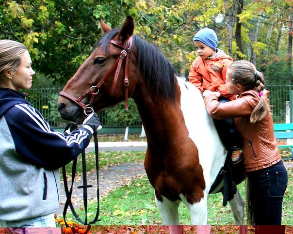 Детям поможет «Доктор лошадь»