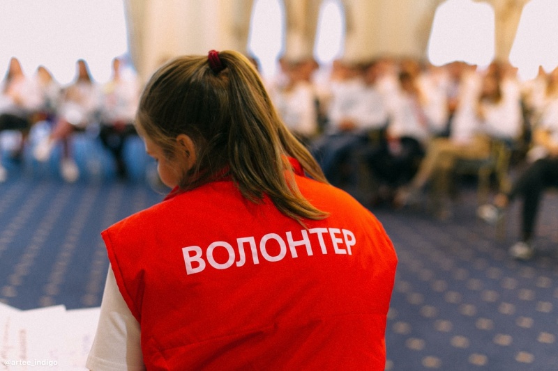 Программы мобильности волонтеров: среди субъектов РФ и среди СОНКО