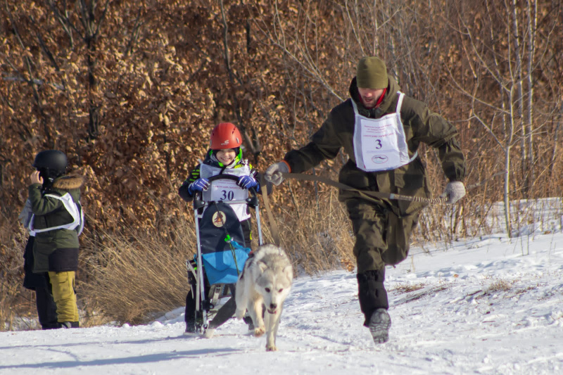 Владимир Шаронов, участник гонок на собачьих упряжках, — про соревнования и любовь к амурской лайке 